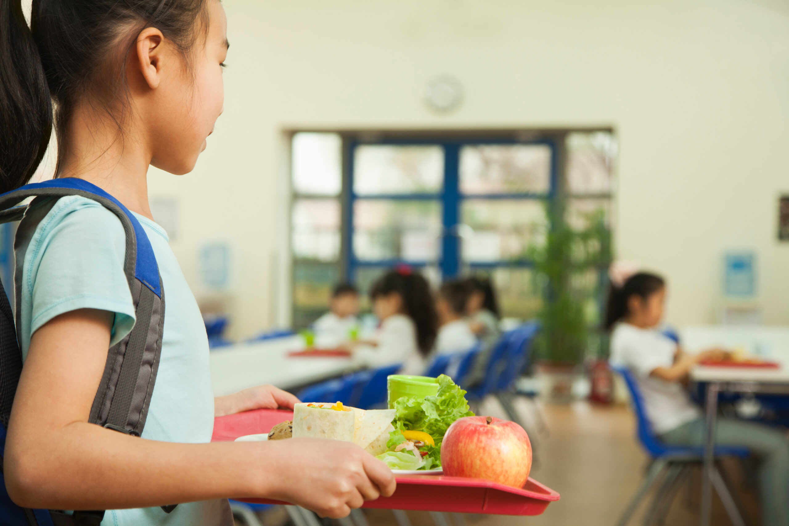 School girl holding food tray in school cafeteria - Story North Colonie's path to health and hope for every student.
